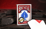 A boxed deck of Bicycle Blank Faced playing cards stands on dark slate stones, with a single blank faced red backed bicycle card beside it against a warm red glowing cave background.