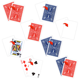 Bicycle Playing Cards Special Assortment / Mixed Gaffs